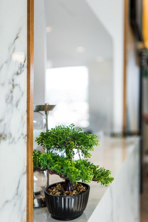 Fotografie z fotogalerie ubytování Hotel Bonsai v destinaci Tirana