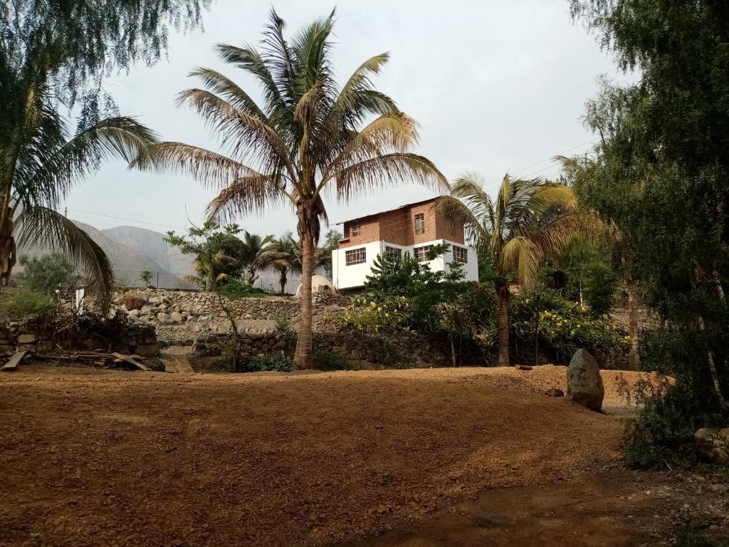 a house on a hill with palm trees in front of it at Cabaña en Fundo Huabayor in Lima