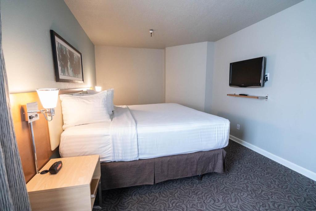 Alexis Park All Suite Resort photo