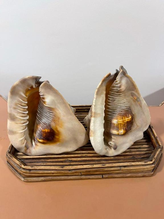  Apartamento Das Conchas Praia das Pitangueiras