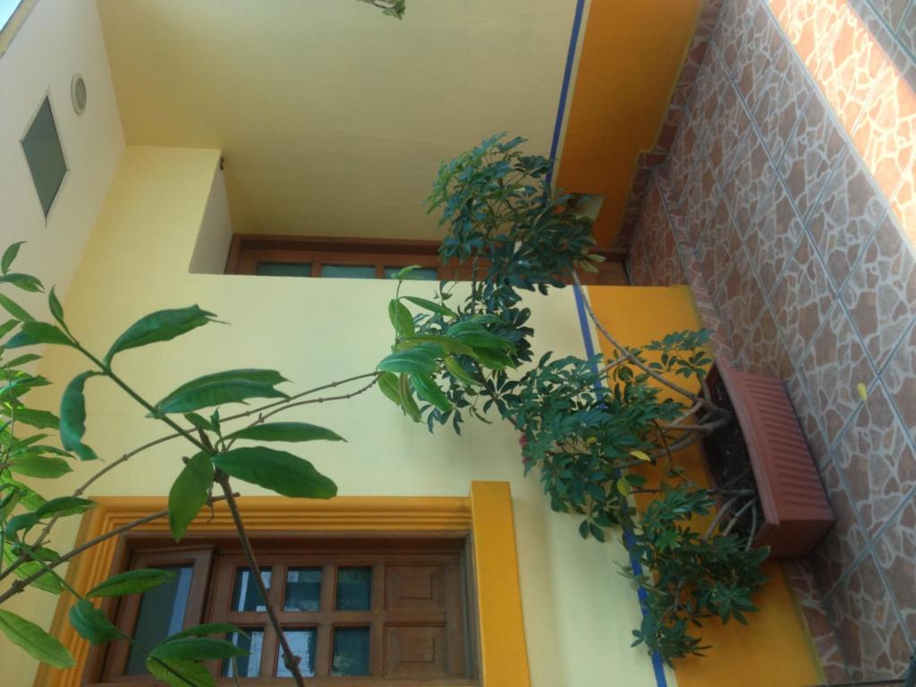 Fotografie z fotogalerie ubytování Casa Vilasanta v destinaci Guadalajara