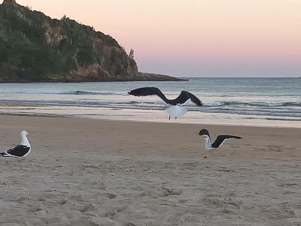  Paraiso de Búzios