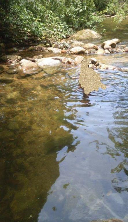  Caraguatatuba- Massaguaçu- Portal do Patrimonium