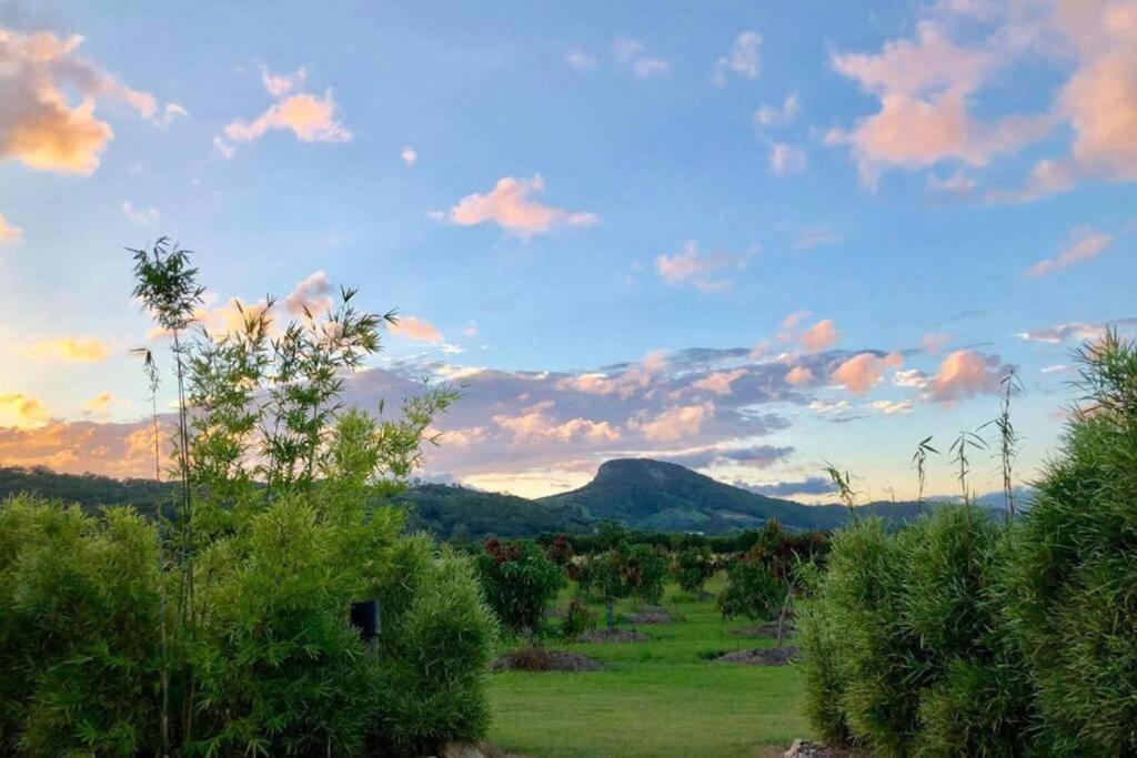 a view of a field with a mountain in the background at Orchard Cottage - modern Australian Sunshine Coast holiday cottage on organic farm nr beach in Valdora
