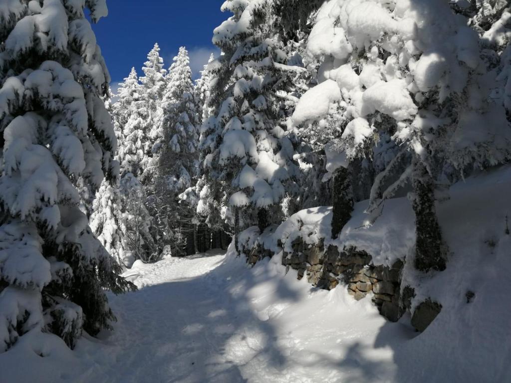 Le Winzer – photo 26