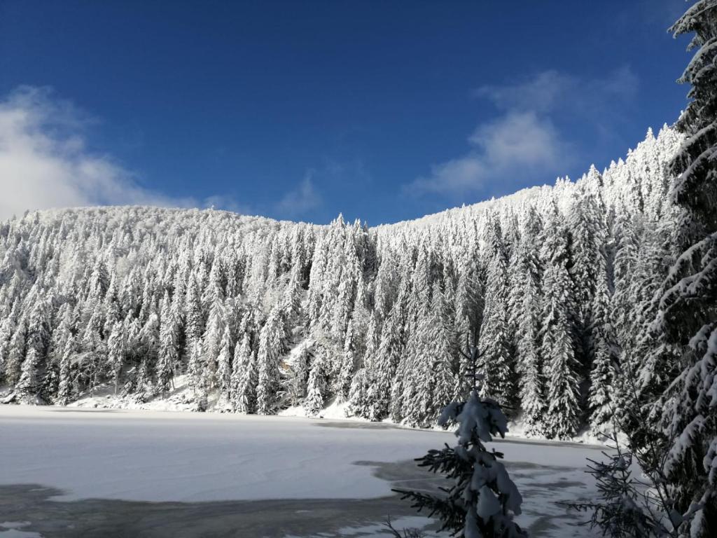 Le Winzer – photo 25