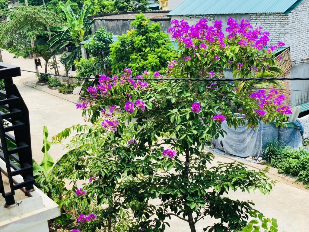 Ninh Binh Brother's Homestay - 14