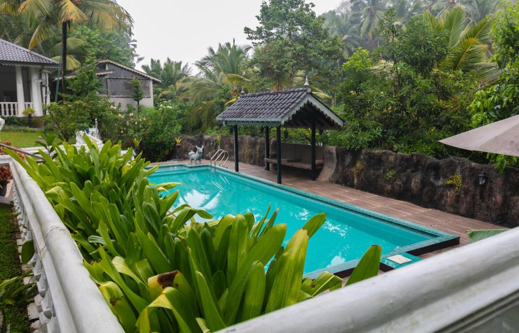 Bazén v ubytování Manor House-Kandy nebo v jeho okolí