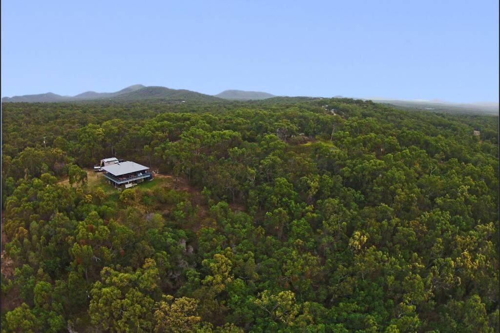 una vista aérea de una casa en medio de un bosque en Birdsong Ridge - where nature meets the ocean., en Agnes Water