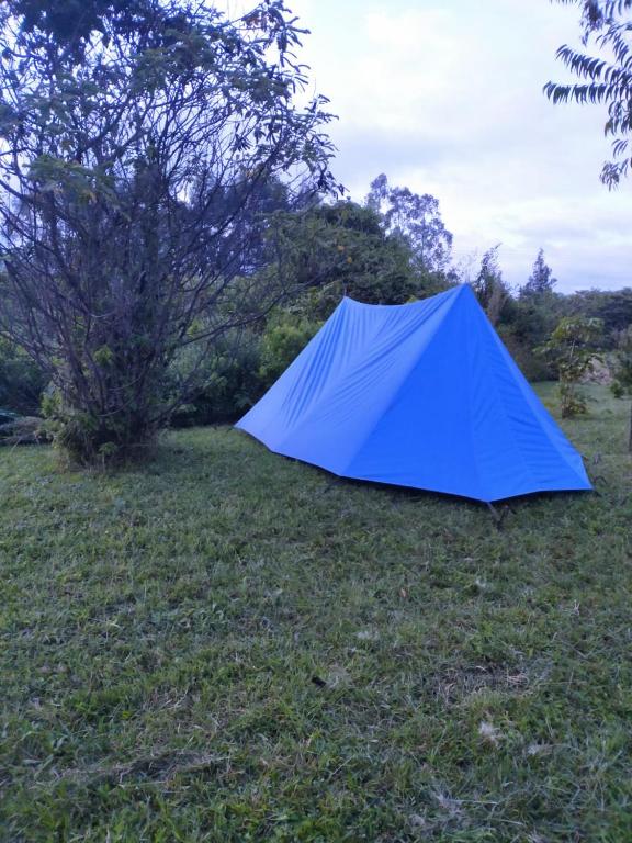Fotografie z fotogalerie ubytování Camp Mahon Gardens v destinaci Nanyuki