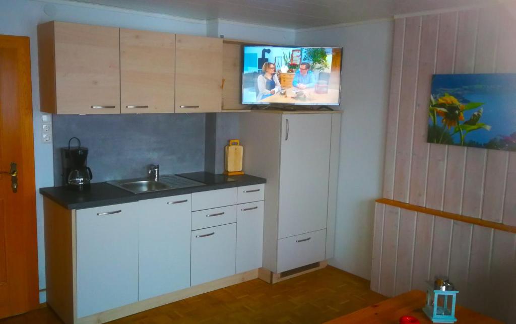 een keuken met een wastafel en een tv aan de muur bij Fewo Strauss in Ossiach