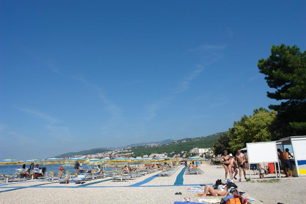Príroda v okolí apartmánu