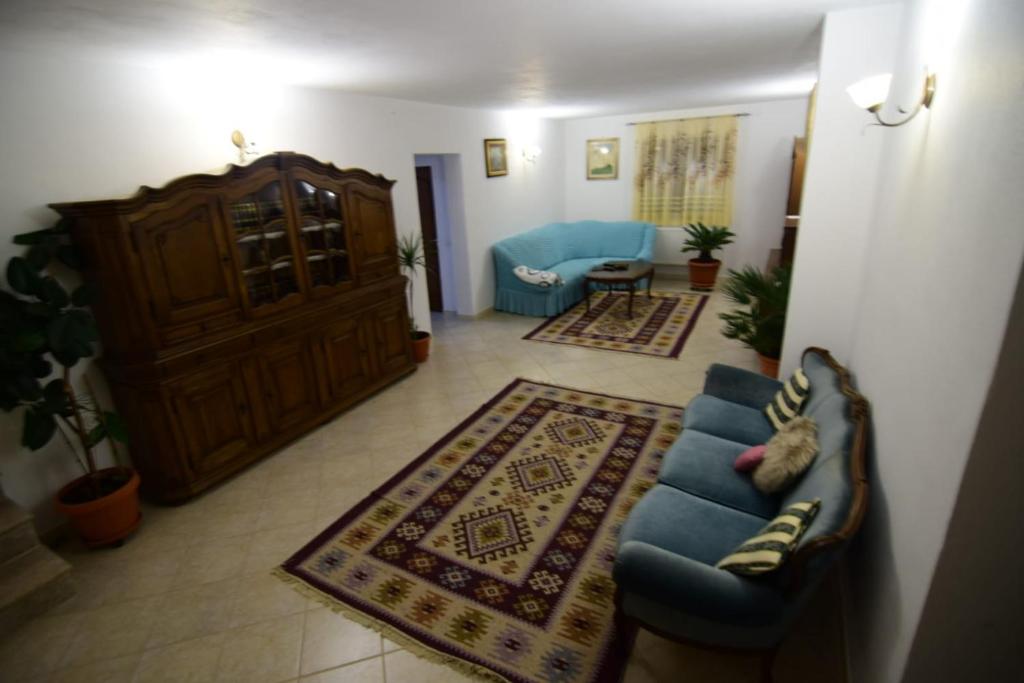 uma sala de estar com um sofá azul num quarto em Agropensiune CASA SONIA em Băcia