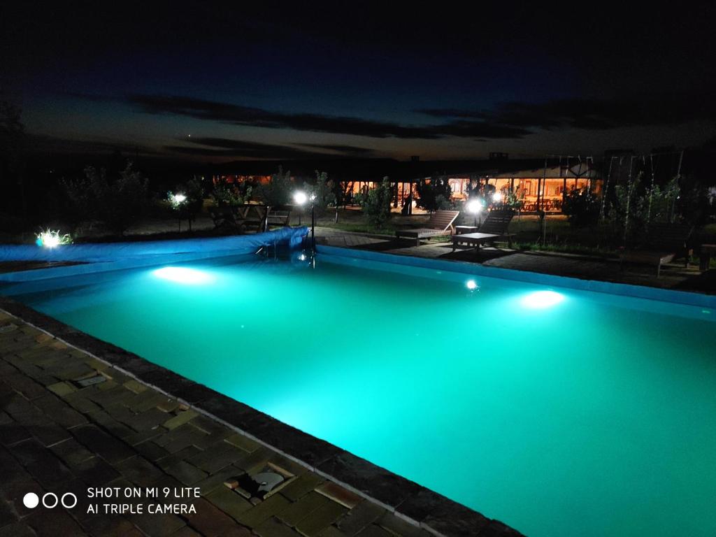 Der Swimmingpool an oder in der Nähe von Salaš Farma 47-Miris Dunja