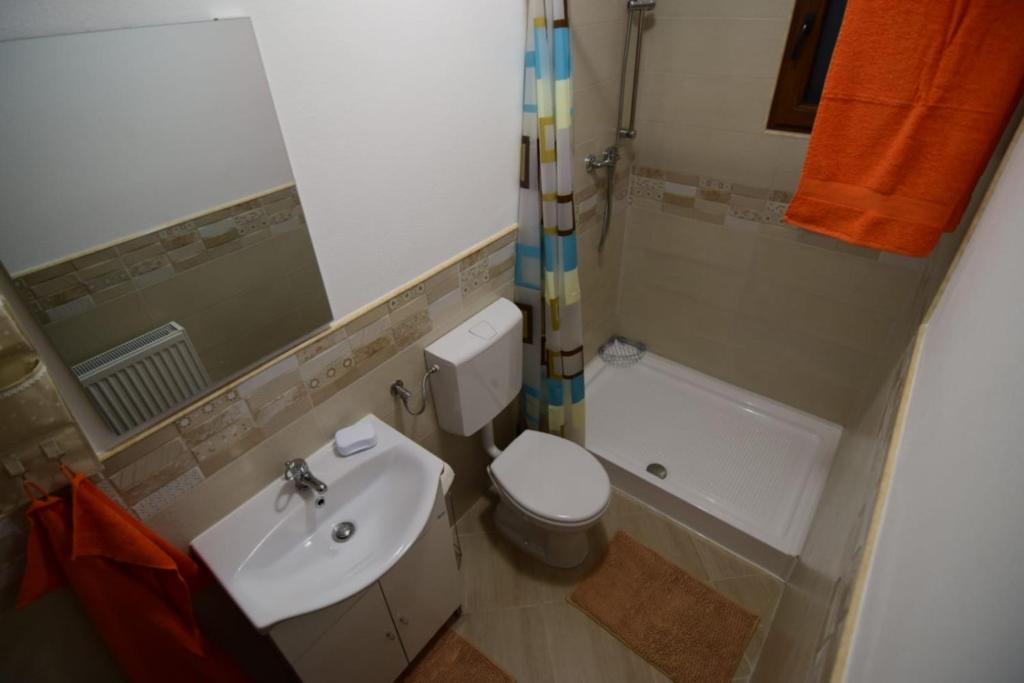 Agropensiune CASA SONIA - Habitación Doble Con Baño Privado