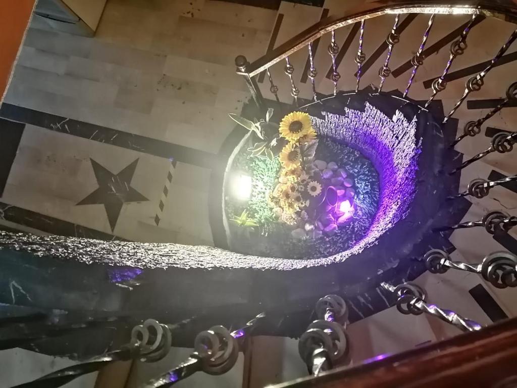 Fotografie z fotogalerie ubytování Hotel Allegria v destinaci Quito