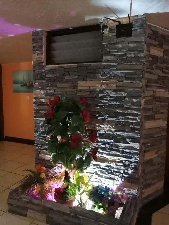 Fotografie z fotogalerie ubytování Hotel Allegria v destinaci Quito