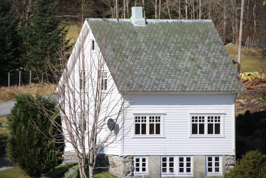 een wit huis met een boom ervoor bij Skomakergarden in Ulsteinvik