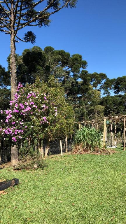  Chacara maravilhosa pertinho de Curitiba