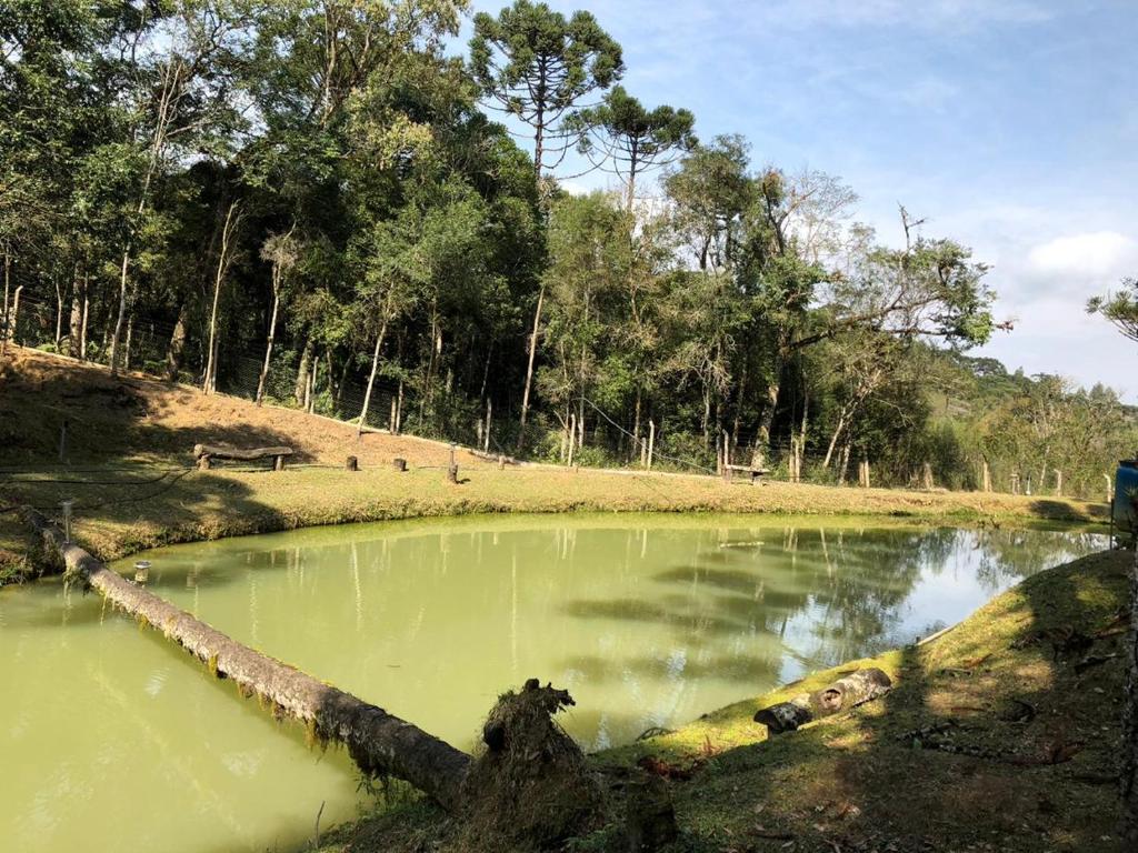  Chacara maravilhosa pertinho de Curitiba