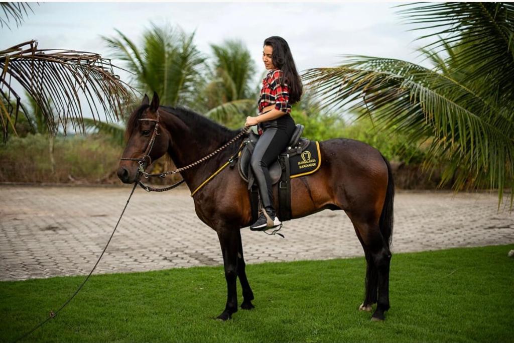  Hotel Fazenda Alto Alegre