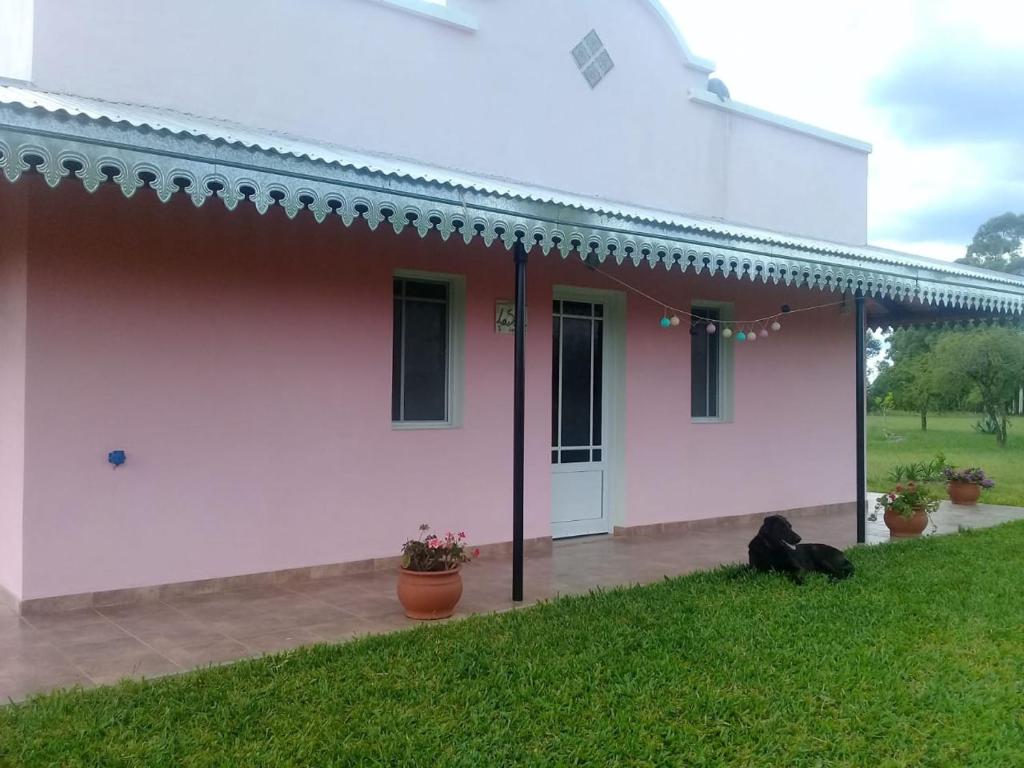 un gato tirado en la hierba junto a una casa en La Solita en Chajarí