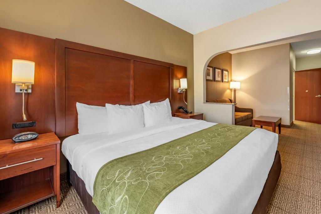Comfort Suites Castle Rock - Denver South - King Suite With Sofabed - Non-Smoking