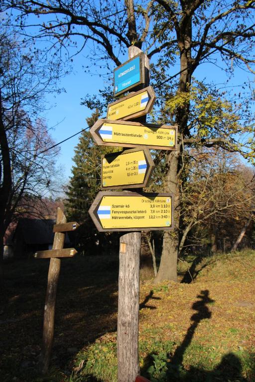 Przyroda w pobliżu tego apartamentu
