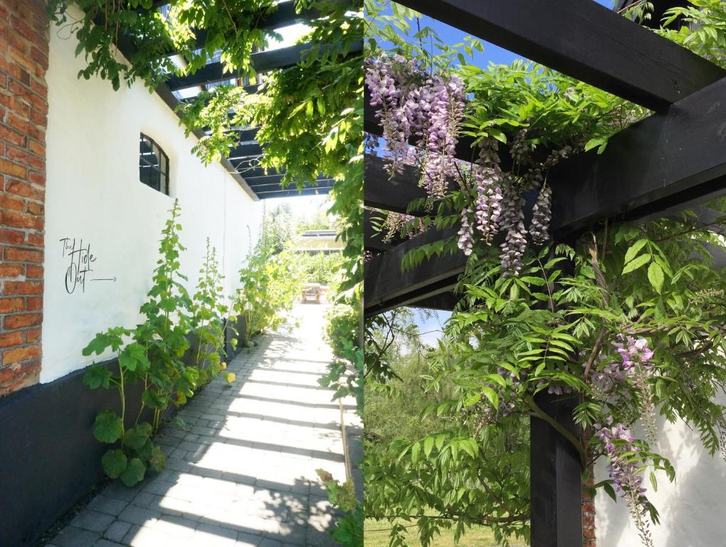 Zahrada ubytování Kåseberga Hideout