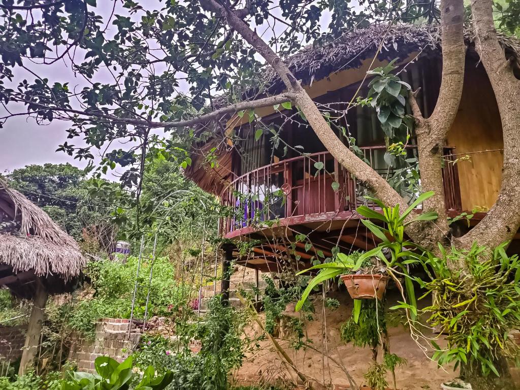 Zahrada ubytování Flourish Homestay