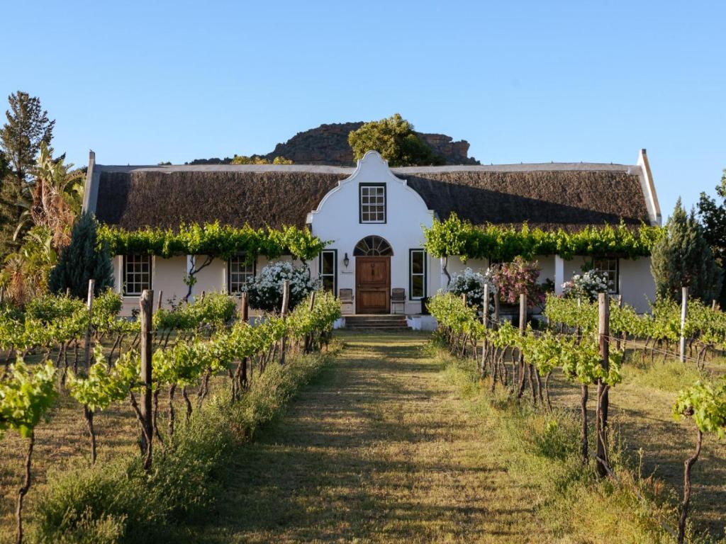 a white house in a vineyard with vines at Alpha Excelsior Guest Farm in Cederberg