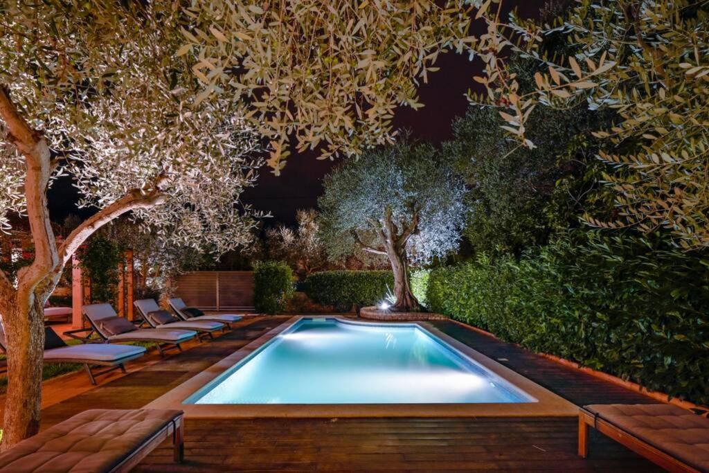 利尼安的住宿－Villa Cadetta，花园内的游泳池,花园内有椅子和树木