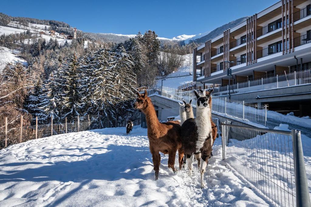 Torgglerhof Hotel 3*