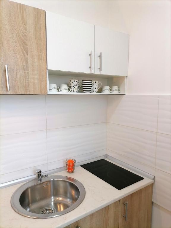 Kuchyň nebo kuchyňský kout v ubytování Apartman Mia