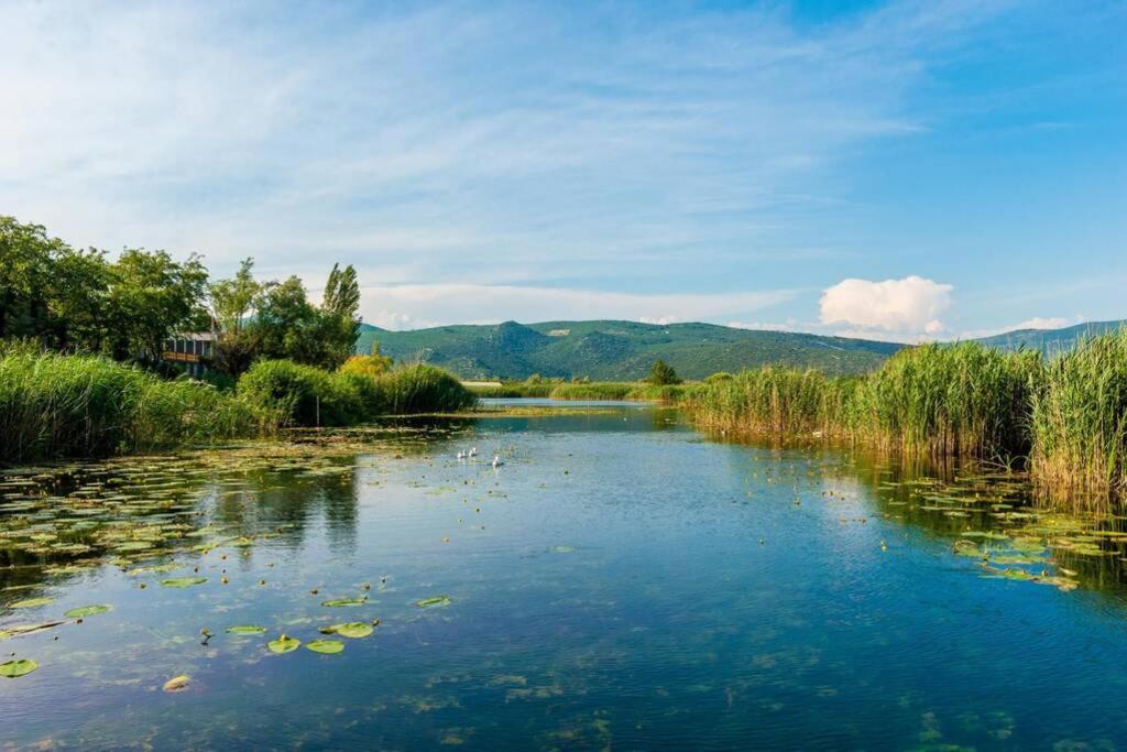 Příroda nedaleko apartmánu