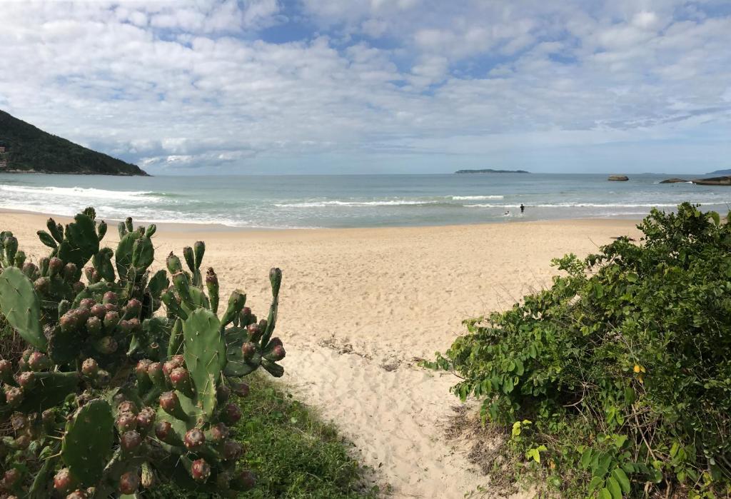  Praia de Quatro Ilhas a 50 metros do mar