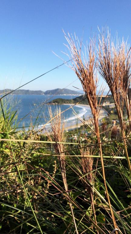  Praia de Quatro Ilhas a 50 metros do mar