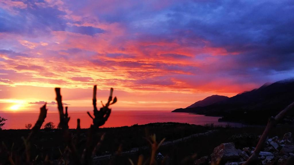 a sunset over the ocean with a cactus at Vila Llaka in Himare