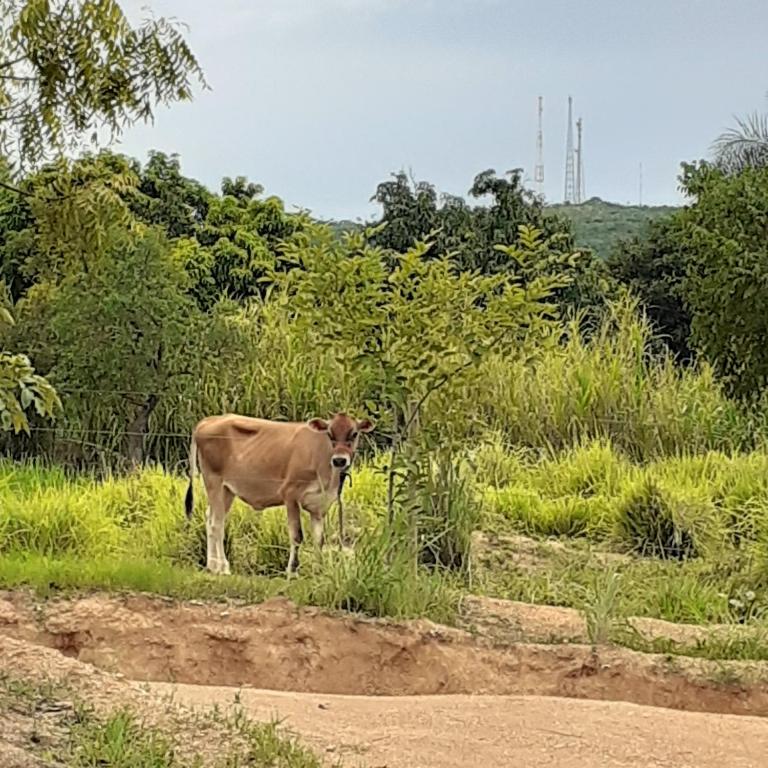 Pousada Terra de Minas