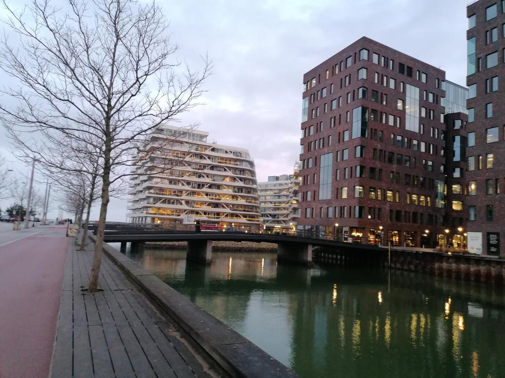 View of Housing Aarhus | Find available apartments for rent in Aarhus