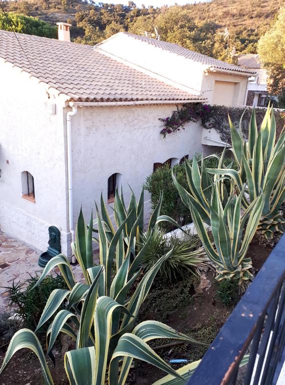 une maison blanche avec des plantes devant dans l'établissement APPARTEMENTS DANS VILLA EN REZ DE JARDIN, à Hyères