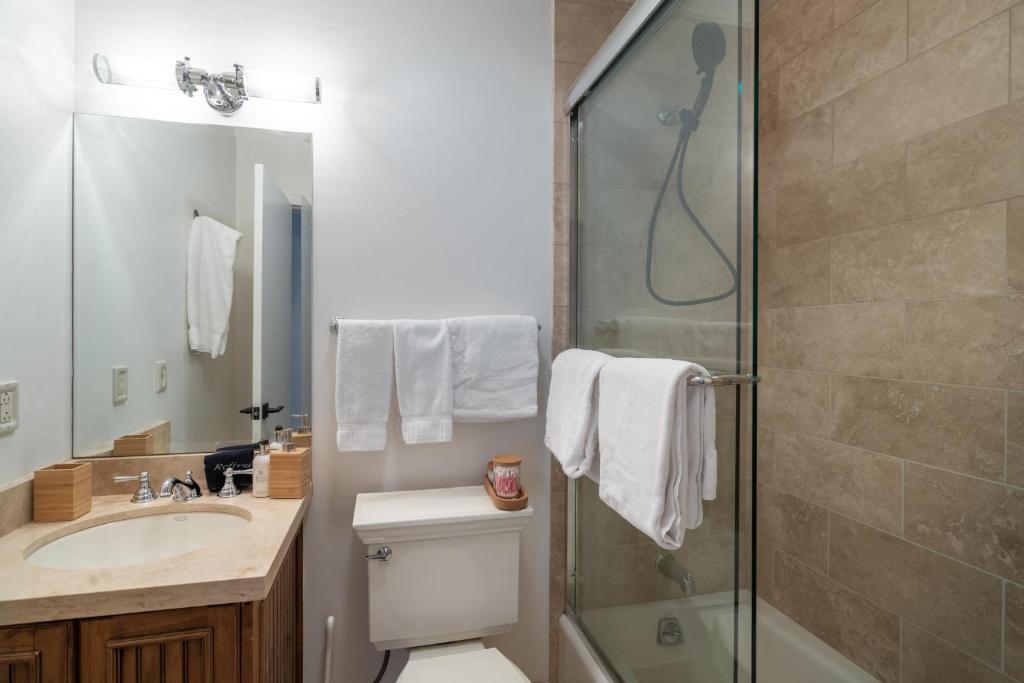 a bathroom with a shower and a toilet and a sink at Colorado Ave East 101 - Ski Loft House in Telluride