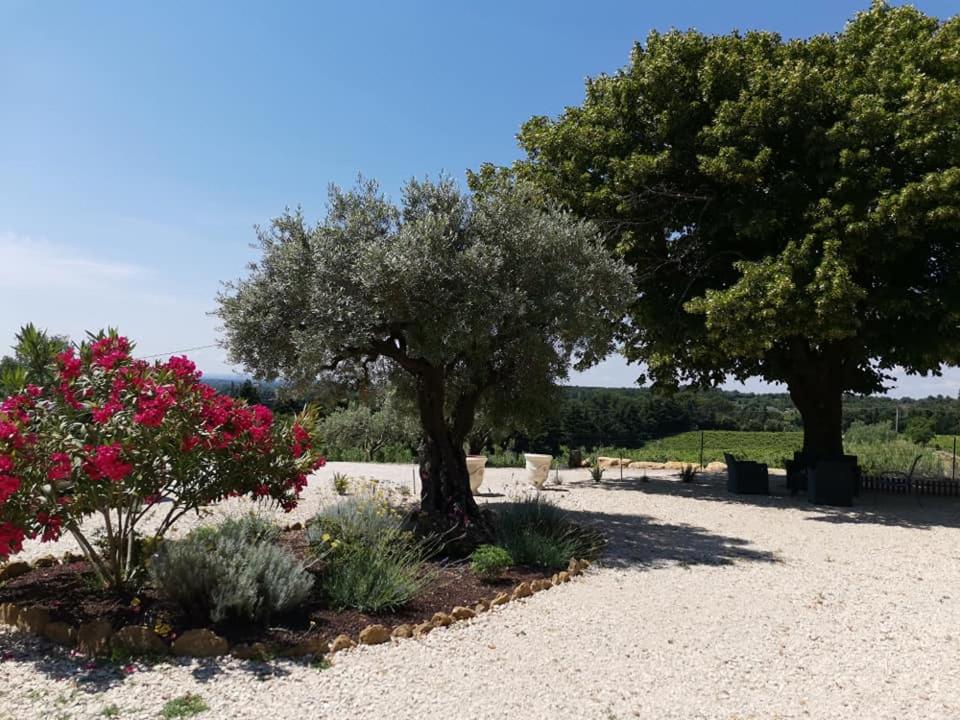 two trees in a garden with bushes and flowers at Mas du Tilleul in Beaumes-de-Venise
