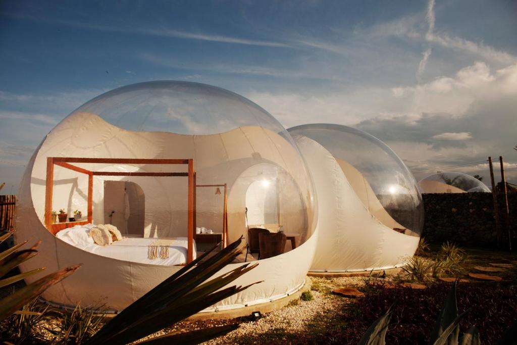 Zdjęcie z galerii obiektu Green Land Bubble Glamping w mieście Cabarete