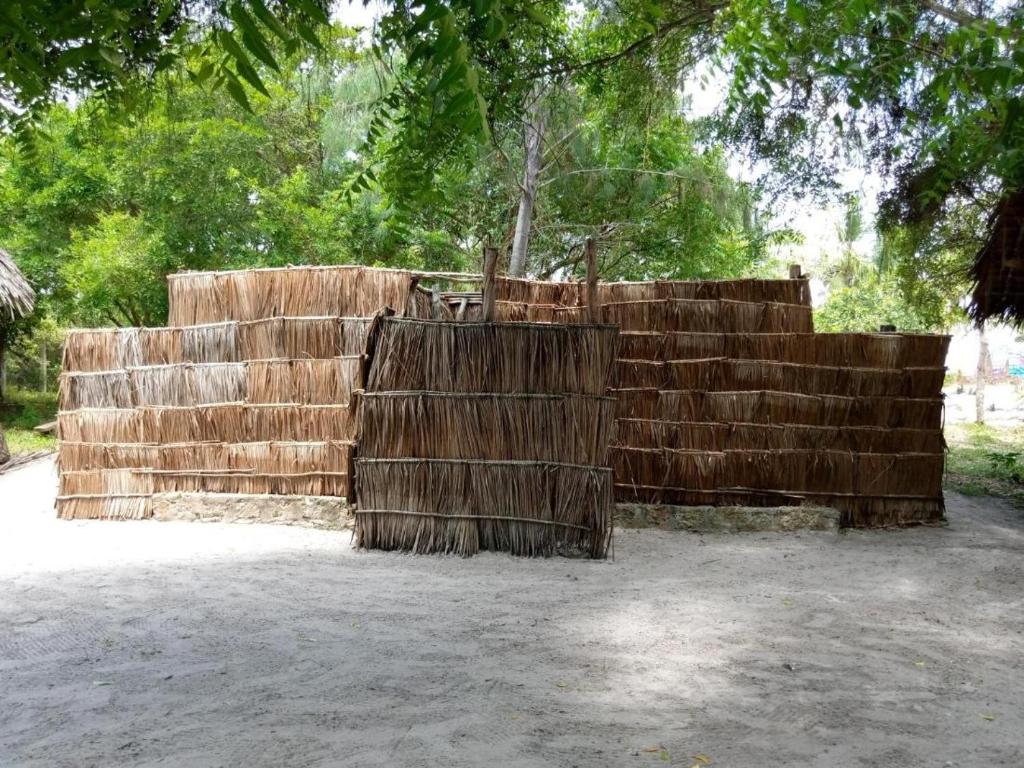 a wooden wall with trees in the background at Mida Creek Eco Camp - lodge in Mida