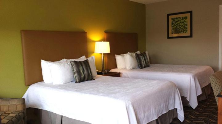 Wingfield Inn - Habitación Doble Básica
