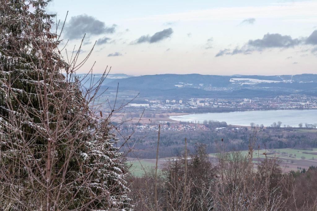 a view from the top of a hill with snow covered trees at Ferienwohnung Gebhart in Öhningen