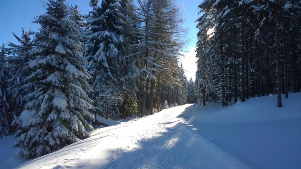 Panoramaferienwohnung Bergwiese v zimě