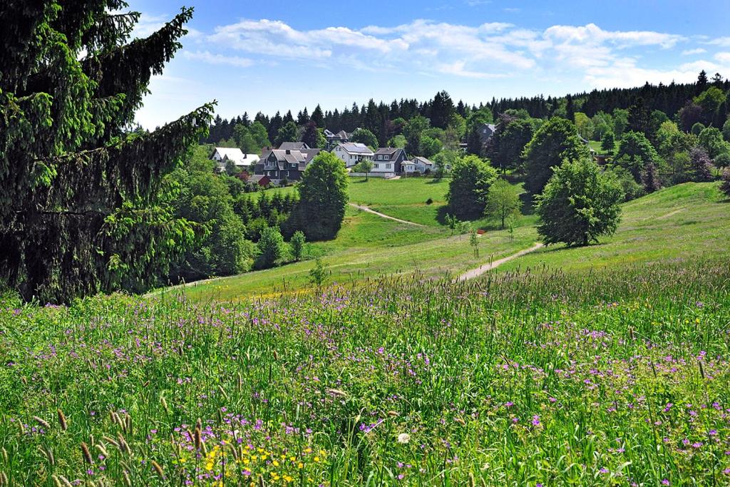 Příroda nedaleko apartmánu
