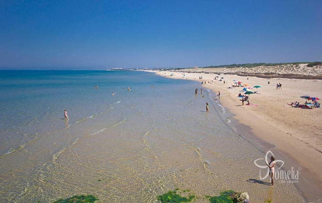 Playa en o cerca del departamento